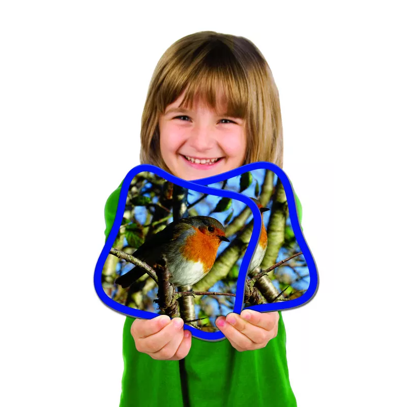 TLJ Jumbo Memory Game