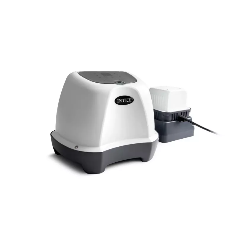 Intex krystal clear saltwater system